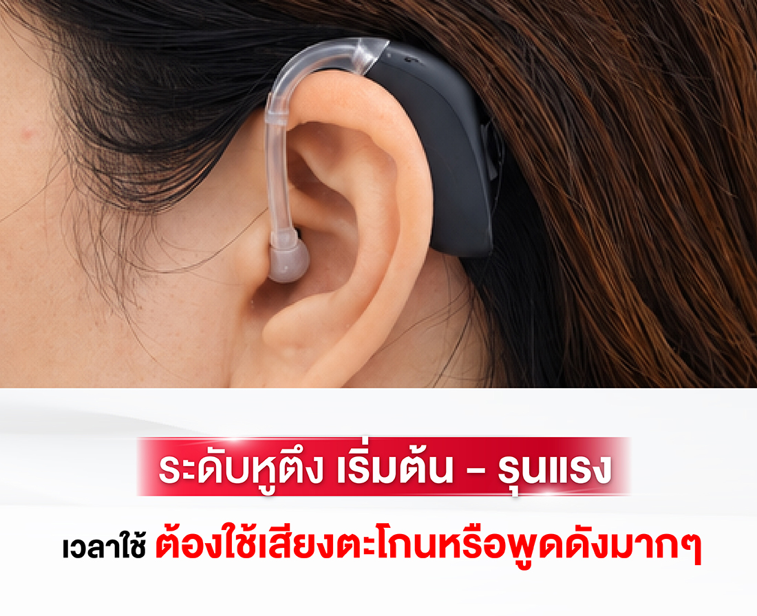 เครื่องช่วยฟัง zircon pro2 เครื่องช่วยฟัง zircon pro2